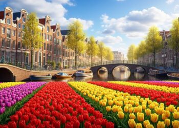 Cyril Hanouna annonce le retour imminent de La Grosse Rigolade sur W9 Découvrez les détails de ce come back et limpact de Tout Beau Tout N9uf    Viral Mag