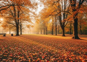La Régulation des Locations Meublées Touristiques en France - Viral Mag Le Parlement français vote une loi pour réguler le marché des meublés touristiques comme Airbnb Découvrez les mesures clés et leur impact potentiel Viral Mag