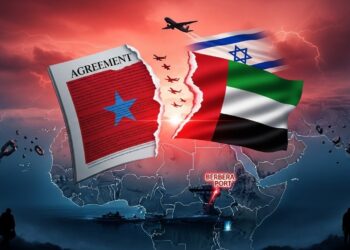 La Somalie annule brutalement tous ses accords avec les Émirats arabes unis suite à des ingérences présumées et à la reconnaissance israélienne du Somaliland Une décision lourde de conséquences pour la Corne de lAfrique   Viral Mag