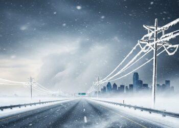 Des objets volés découverts dans la cellule dun détenu en semi liberté à Toulon Découvrez les détails de cette affaire troublante qui secoue la région    Viral Mag