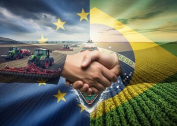 LUE atteint 450 millions dhabitants en 2024 portée par limmigration face à un déclin naturel Quels défis pour lavenir    Viral Mag