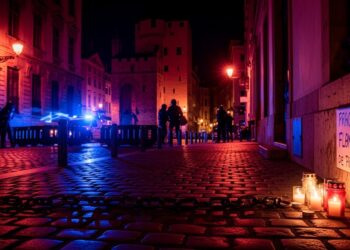 À Lyon la mort violente dun militant nationaliste après une conférence de LFI provoque une vive émotion Emmanuel Macron appelle à éviter lengrenage de la violence tandis quune marche hommage divise Détails et réactions   Viral Mag