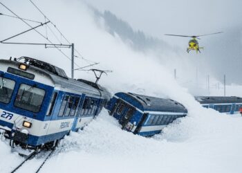 LItalien Jannik Sinner sest qualifié pour la finale de lOpen dAustralie après une victoire en 3 sets contre lespoir américain Ben Shelton Un match maîtrisé de bout en bout par le n°1 mondial   Viral Mag