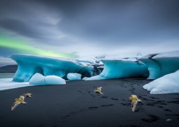 Découvrez nos conseils pratiques pour encourager vos enfants à bouger et à pratiquer une activité physique pendant les vacances scolaires   Viral Mag