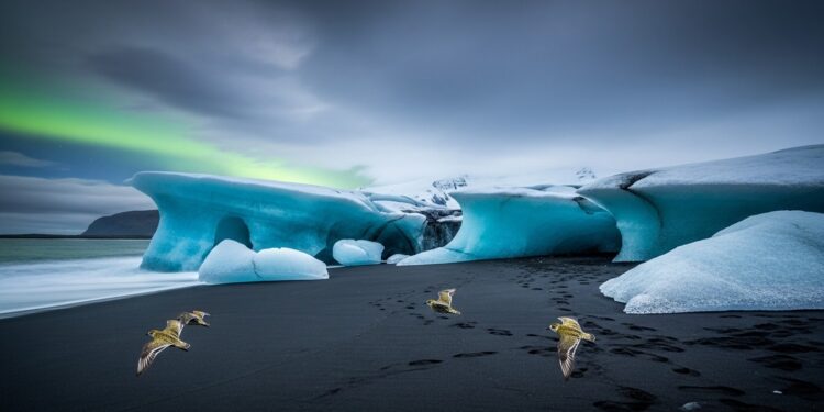 Découvrez pourquoi lIslande en avril est idéale  aurores boréales finissantes glaciers encore intacts macareux en arrivée faible affluence et prix attractifs Guide complet 2026   Viral Mag