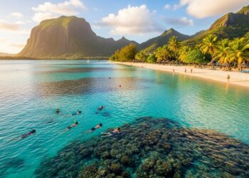 La rentabilité de la minière de Bitcoin saméliore grandement en novembre selon JPMorgan capitalisation des mineurs en hausse de 33   Viral Mag