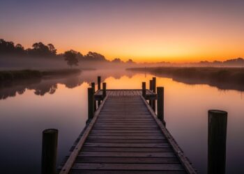 Le PSG en finale de Ligue des champions à Munich  Découvrez leffervescence des supporters parisiens pour décrocher leur billet Suspense garanti    Viral Mag