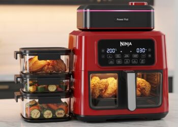 On le sait les poules sont des êtres sensibles et émotifs Une étude récente confirme quelles peuvent même être amusantes et câlines quand elles sont en confiance Une belle preuve de leur intelligence    Viral Mag