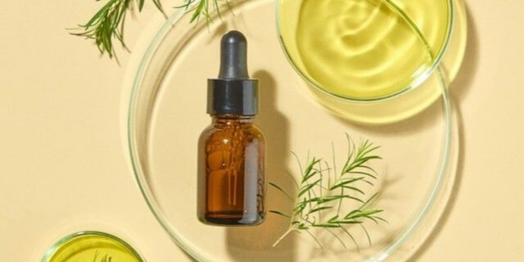 23022026   Connaissez vous cette petite fiole ambrée qui trône dans les salles de bains du monde entier depuis quelques années  Lhuile de tea tree extraite des feuilles du Melaleuca alternifolia est devenue un incontournable des cosmétiques naturels Mais derrière cet engouement se cache une histoire fascinante et des propriétés scientifiquement prouvées qui méritent quon sy attarde   Viral Mag