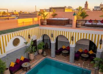 Migrant Multirécidiviste Escroque une Nonagénaire à Paris - Viral Mag Un migrant sous OQTF manipule une femme de 92 ans à Paris vidant ses comptes Découvrez cette affaire choquante et ses implications Viral Mag