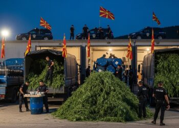 Découvrez les dernières actualités en continu sur ViralMagfr Suivez les tendances les news virales et les faits divers en temps réel sans rien manquer   Viral Mag