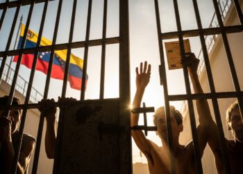 Une journaliste zimbabwéenne arrêtée pour un article satirique sur le président obtient sa libération sous caution Découvrez les enjeux de la liberté dexpression   Viral Mag