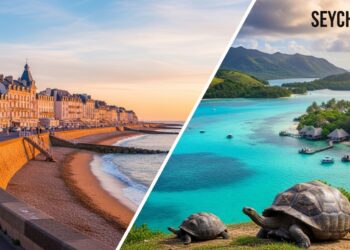 Festival de Cerfs-Volants : Un Vent de Magie en Essonne - Viral Mag Le festival de cerfs volants sur lex base aérienne 217 a émerveillé 12 000 visiteurs Découvrez cet événement unique en Essonne Viral Mag