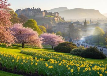 Le Qatar confirme le départ partiel de personnel de la base US dAl Udeid face aux tensions régionales avec lIran Menaces de Washington et ripostes de Téhéran ravivent les craintes descalade au Moyen Orient   Viral Mag