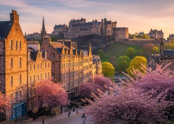 Un scandale secoue le rugby féminin  un kiné du Biarritz Olympique poursuivi pour agressions sexuelles Découvrez les détails choc de laffaire    Viral Mag