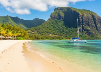 Benjamin Netanyahu confirme son voyage à New York malgré les menaces darrestation du futur maire Zohran Mamdani lié au mandat de la CPI Une tension diplomatique explosive   Viral Mag