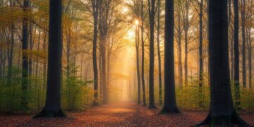 Découvrez comment les skippers du Vendée Globe 2024 restent connectés malgré lisolement en mer Une plongée dans la course en solitaire à lère du numérique   Viral Mag