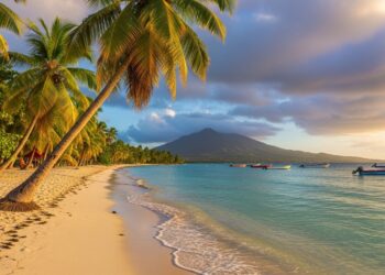 Découvrez le ras le bol des restaurateurs parisiens confrontés à la fermeture imprévue de centaines de terrasses à quelques jours des JO Une décision choc aux conséquences désastreuses   Viral Mag